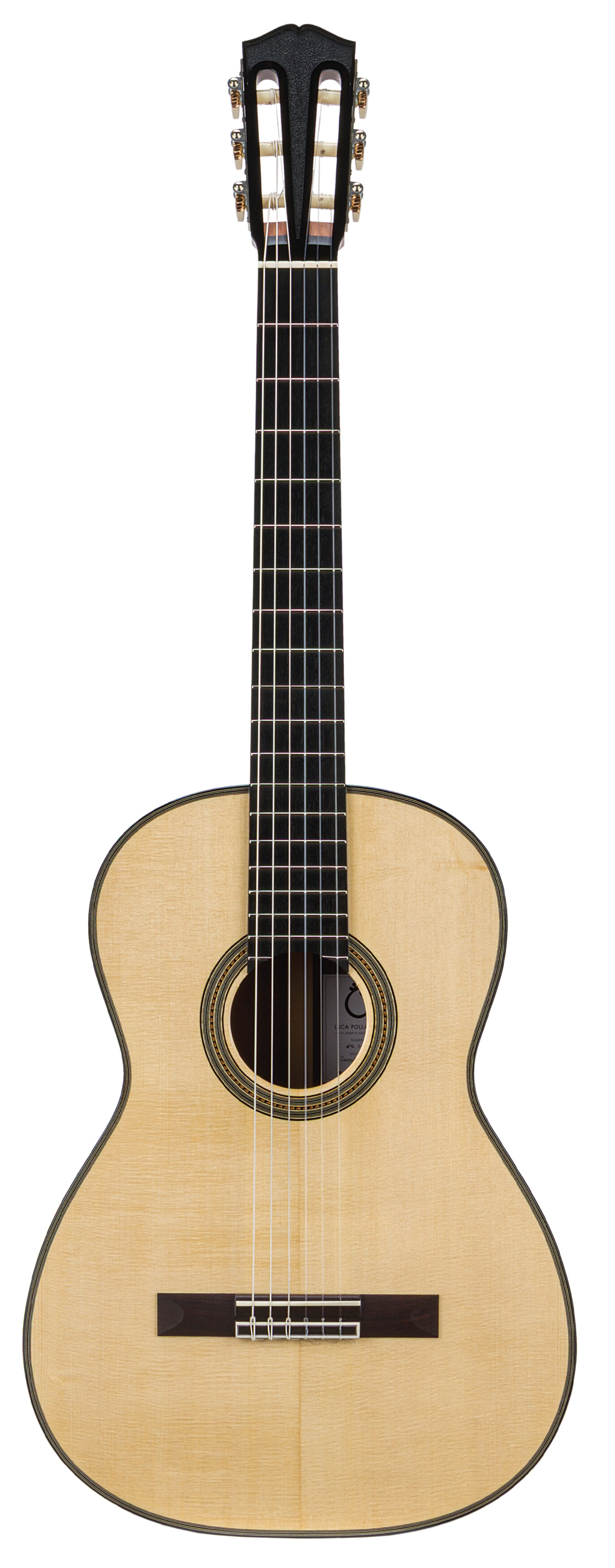 Chitarra_1_Pollastro